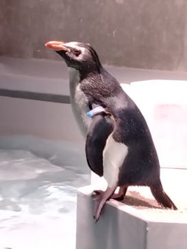 AOAO SAPPOROに投稿された画像（2025/4/15）