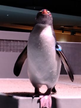 AOAO SAPPOROに投稿された画像（2025/4/15）