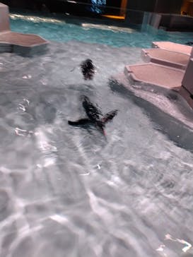 AOAO SAPPOROに投稿された画像（2025/4/15）