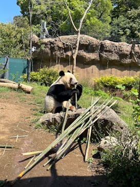 恩賜上野動物園に投稿された画像（2025/4/15）