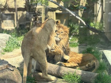 東武動物公園に投稿された画像（2025/4/15）