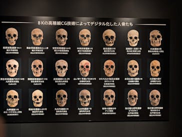特別展「古代DNA－日本人のきた道」（国立科学博物館）に投稿された画像（2025/4/15）