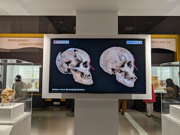 特別展「古代DNA－日本人のきた道」（国立科学博物館）に投稿された画像（2025/4/15）