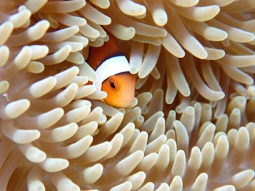 宮古島マリンショップSmileyに投稿された画像（2025/4/15）