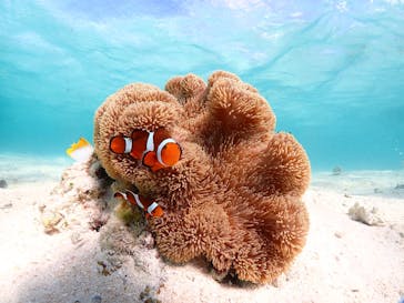 宮古島マリンショップSmileyに投稿された画像（2025/4/15）