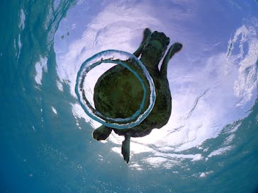 宮古島マリンショップSmileyに投稿された画像（2025/4/15）