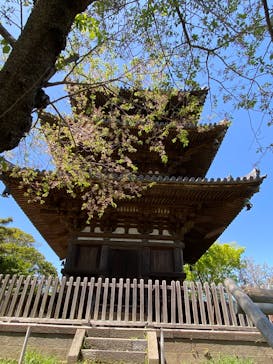 三溪園に投稿された画像（2025/4/15）