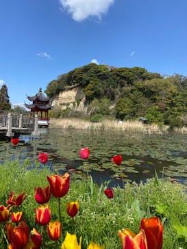 三溪園に投稿された画像（2025/4/15）