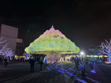 東京メガイルミに投稿された画像（2025/4/15）