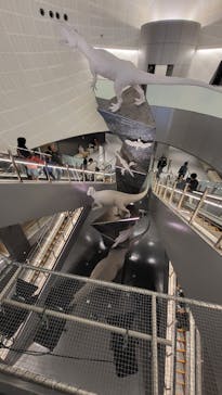 福井県立恐竜博物館に投稿された画像（2025/4/15）