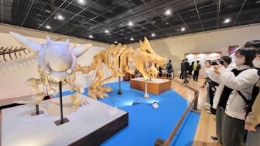 福井県立恐竜博物館に投稿された画像（2025/4/15）