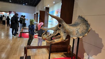福井県立恐竜博物館に投稿された画像（2025/4/15）
