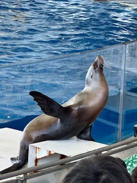 アクアワールド茨城県大洗水族館に投稿された画像（2025/4/15）