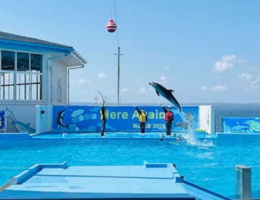 のとじま水族館に投稿された画像（2025/4/15）