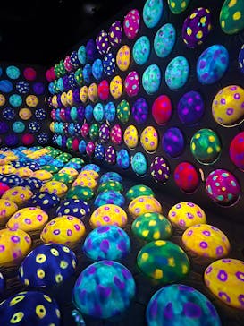 チームラボフォレスト 福岡 - SBI証券に投稿された画像（2025/4/15）