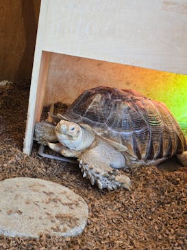 Moff animal cafe MARKIS 福岡ももち店に投稿された画像（2025/4/15）