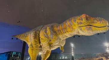 福井県立恐竜博物館に投稿された画像（2025/4/15）