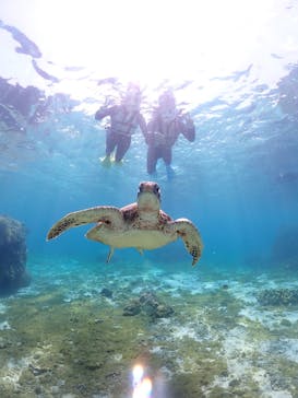 宮古島マリンショップSmileyに投稿された画像（2025/4/15）
