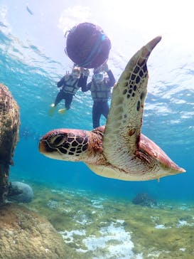 宮古島マリンショップSmileyに投稿された画像（2025/4/15）