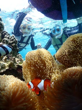 宮古島マリンショップSmileyに投稿された画像（2025/4/15）