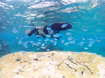 宮古島マリンショップSmileyに投稿された画像（2025/4/15）