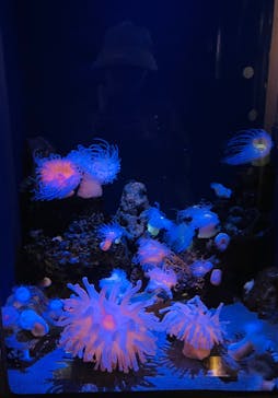 竹島水族館に投稿された画像（2025/4/15）