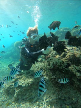 武藤潜水に投稿された画像（2025/4/16）