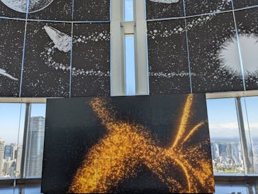 手塚治虫「火の鳥」展－火の鳥は、エントロピー増大と抗う動的平衡＝宇宙生命の象徴－に投稿された画像（2025/4/16）