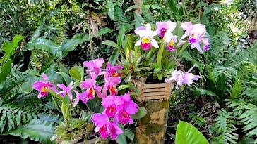 ビオスの丘に投稿された画像（2025/4/16）