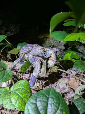 初心者専門宮古島シュノーケリングツアーに投稿された画像（2025/4/16）