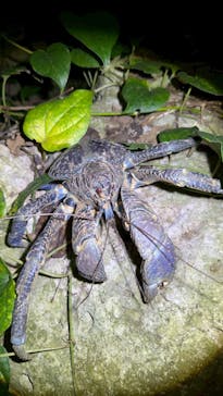 初心者専門宮古島シュノーケリングツアーに投稿された画像（2025/4/16）