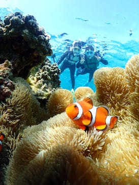 宮古島マリンショップSmileyに投稿された画像（2025/4/16）