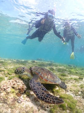 宮古島マリンショップSmileyに投稿された画像（2025/4/16）