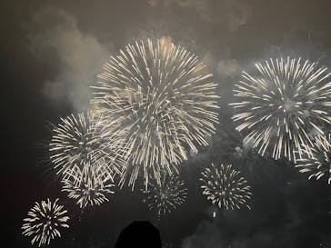 富士山花火 VS スピードウェイ 2026に投稿された画像（2025/4/16）