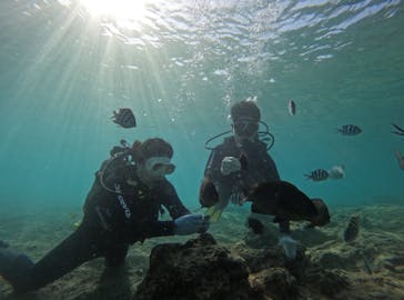 武藤潜水に投稿された画像（2025/4/16）