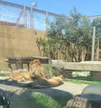 東武動物公園に投稿された画像（2025/4/16）