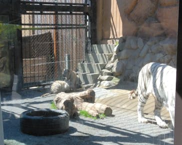 東武動物公園に投稿された画像（2025/4/16）