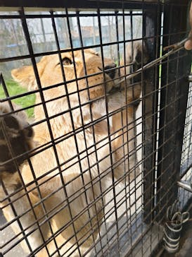 那須サファリパークに投稿された画像（2025/4/16）