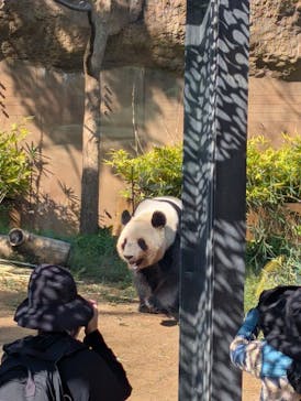 恩賜上野動物園に投稿された画像（2025/4/16）