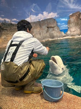 名古屋港水族館に投稿された画像（2025/4/16）