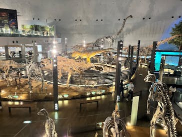 福井県立恐竜博物館に投稿された画像（2025/4/16）