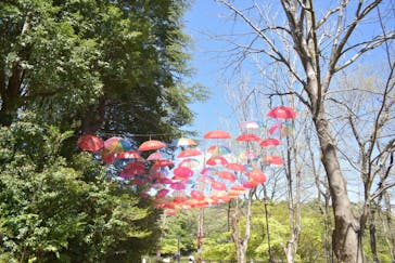 ムーミンバレーパークに投稿された画像（2025/4/16）