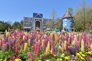 ムーミンバレーパークに投稿された画像（2025/4/16）