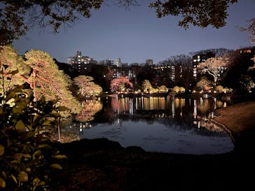 六義園に投稿された画像（2025/4/16）