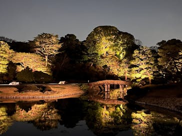 六義園に投稿された画像（2025/4/16）