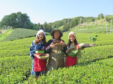 キウイフルーツカントリーJapan（キウイフルーツカントリージャパン）に投稿された画像（2025/4/16）