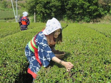 キウイフルーツカントリーJapan（キウイフルーツカントリージャパン）に投稿された画像（2025/4/16）