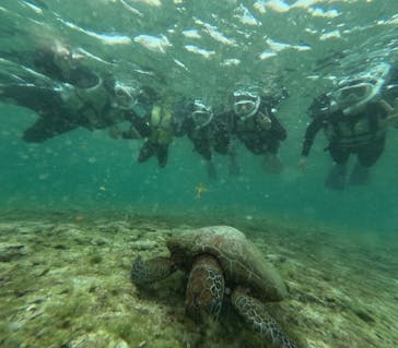 nico 宮古島に投稿された画像（2025/4/16）