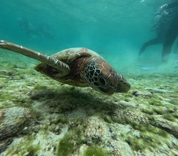 nico 宮古島に投稿された画像（2025/4/16）