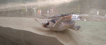 鴨川シーワールドに投稿された画像（2025/4/5）